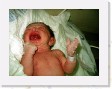 Assaf just after birth * 2592 x 1944 * (2.91MB)
